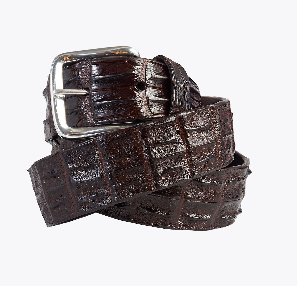 Cinturón Cocodrilo Marrón