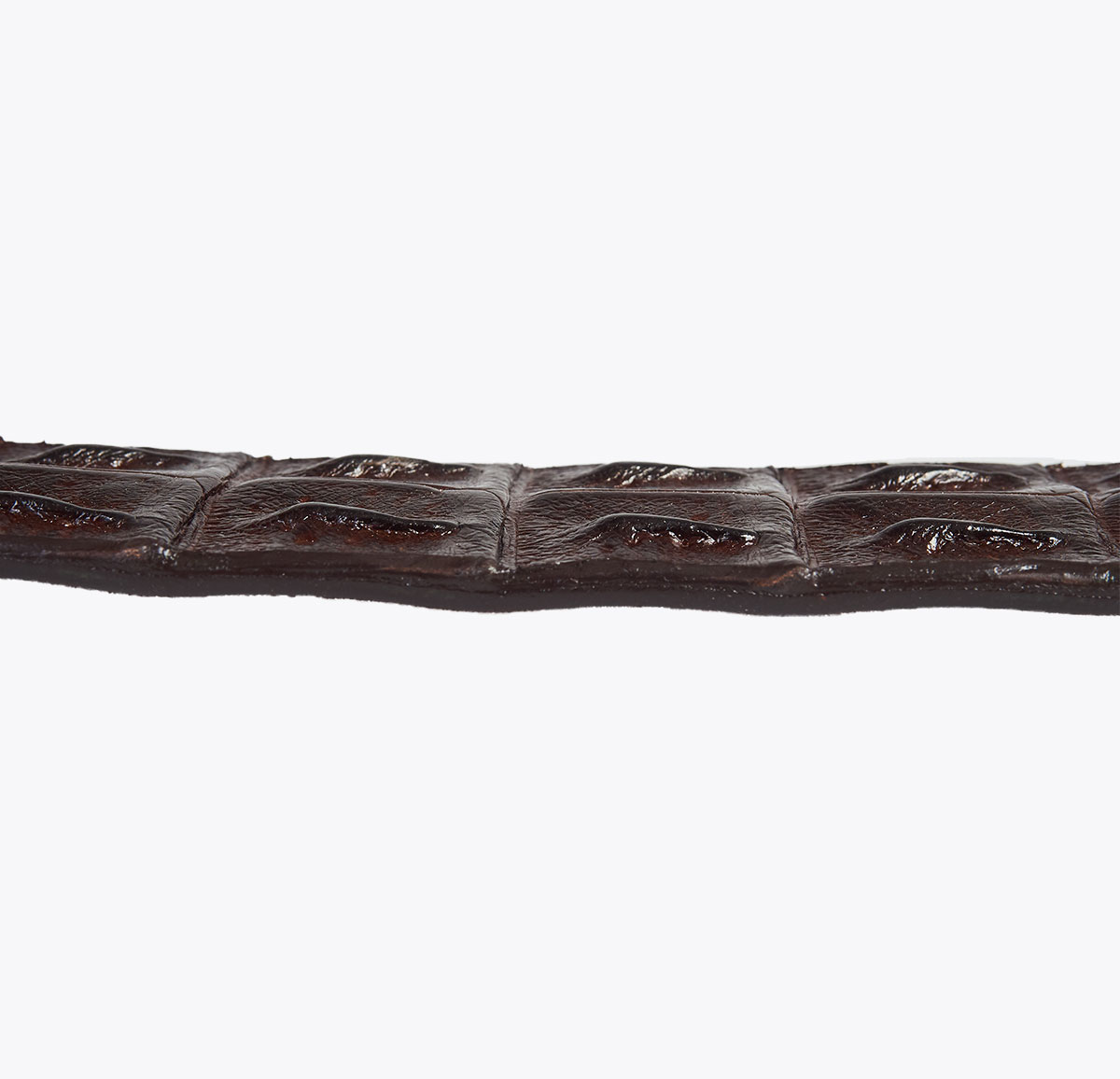 Cinturón Cocodrilo Marrón