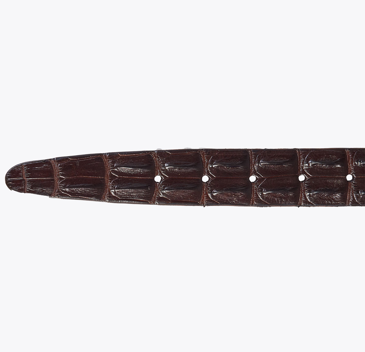 Cinturón Cocodrilo Marrón