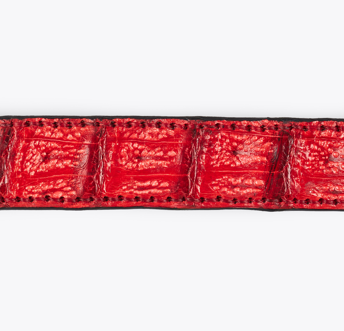 Cinturón Cocodrilo Rojo