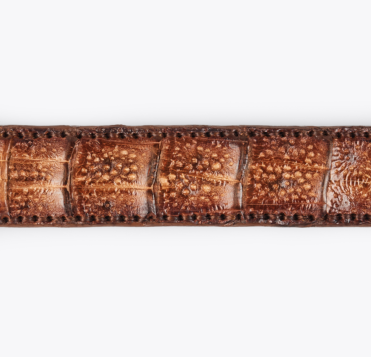 Cinturón Cocodrilo Tostado